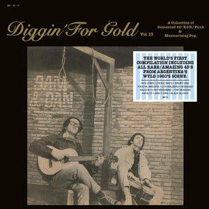 Various Artists - Diggin' For Gold Vol.13
