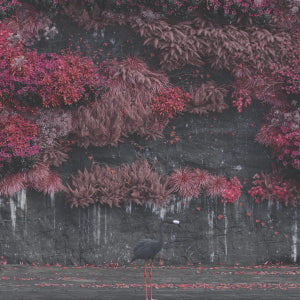 Sleep Token - Even in Arcadia