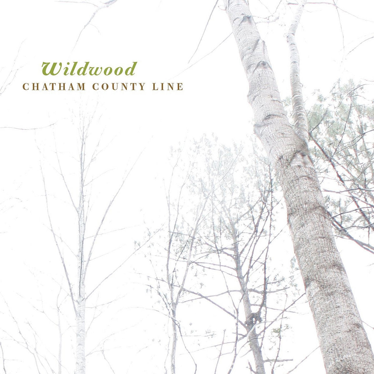 Chatham County Line - Wildwood