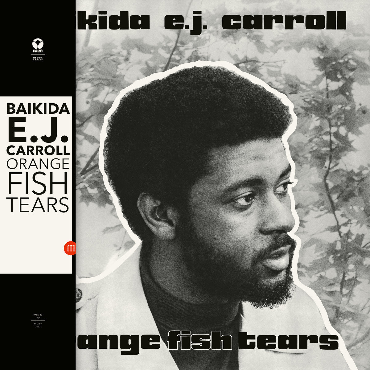 Baikida E. J. Carroll - Orange Fish Tears