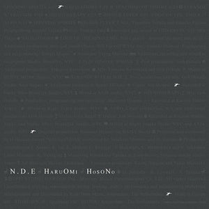 Haruomi Hosono - N.D.E.