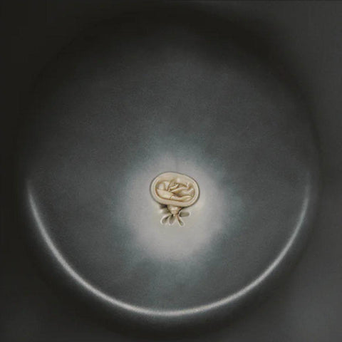 Travis Scott - Utopia