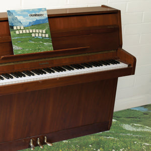 Grandaddy - The Sophtware Slump..... On a Wooden Piano