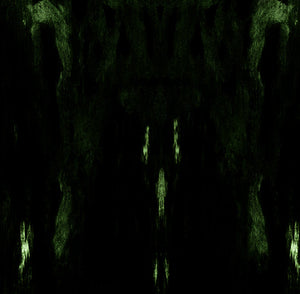 Impetuous Ritual - Unholy Congregation