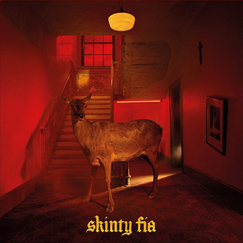 Fontaines D.C. - Skinty Fia