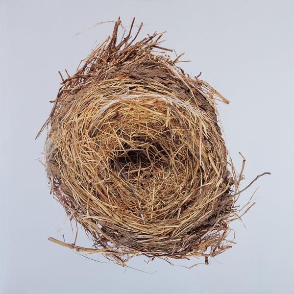 Wilco - A Ghost Is Born