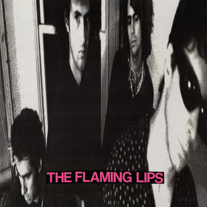 The Flaming Lips - In A Priest Driven Ambulance