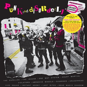 Various Artists - Punk And Disorderly - Vol. 2